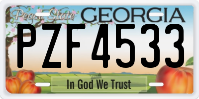 GA license plate PZF4533