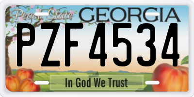 GA license plate PZF4534