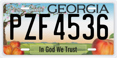 GA license plate PZF4536