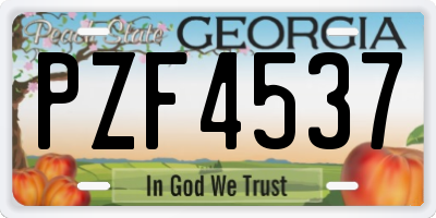 GA license plate PZF4537