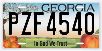 GA license plate PZF4540