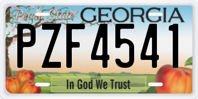 GA license plate PZF4541