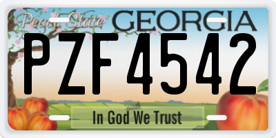GA license plate PZF4542