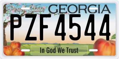 GA license plate PZF4544