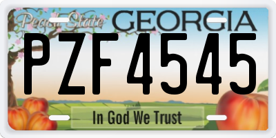 GA license plate PZF4545
