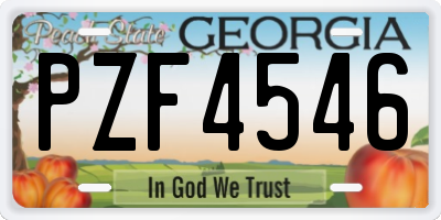 GA license plate PZF4546
