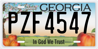 GA license plate PZF4547