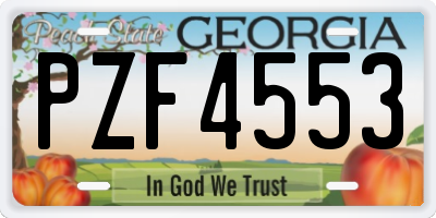 GA license plate PZF4553