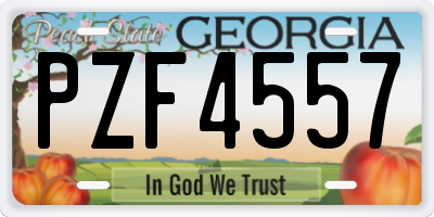 GA license plate PZF4557