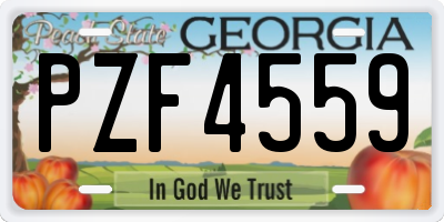 GA license plate PZF4559