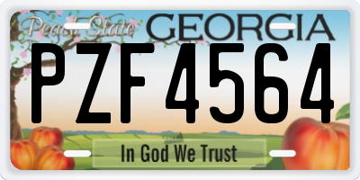 GA license plate PZF4564