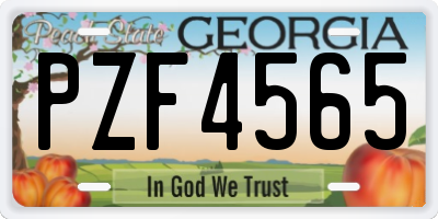 GA license plate PZF4565