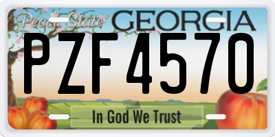 GA license plate PZF4570