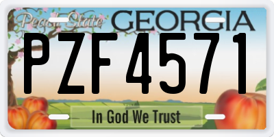 GA license plate PZF4571