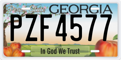 GA license plate PZF4577
