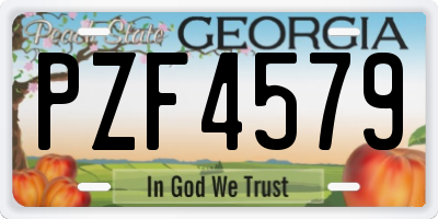 GA license plate PZF4579