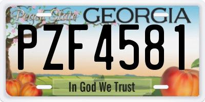 GA license plate PZF4581