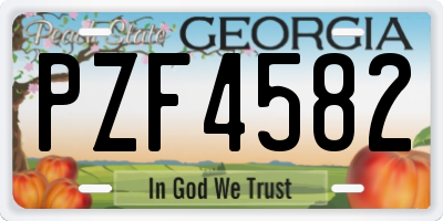 GA license plate PZF4582