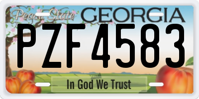 GA license plate PZF4583