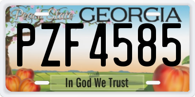 GA license plate PZF4585