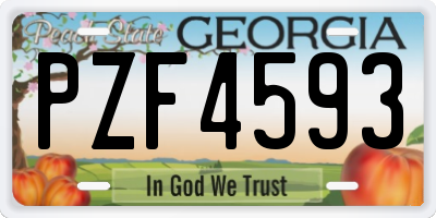 GA license plate PZF4593
