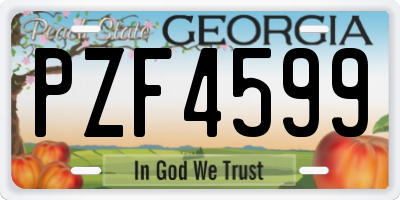 GA license plate PZF4599