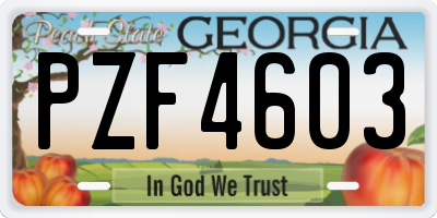 GA license plate PZF4603