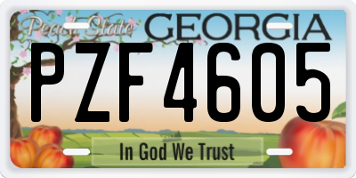GA license plate PZF4605