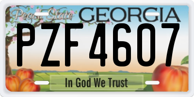 GA license plate PZF4607