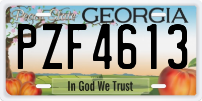 GA license plate PZF4613