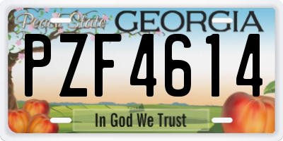 GA license plate PZF4614