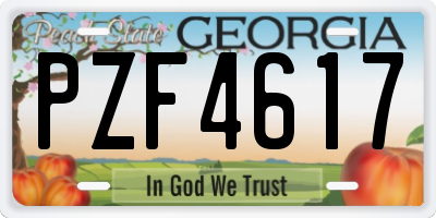 GA license plate PZF4617