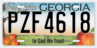GA license plate PZF4618