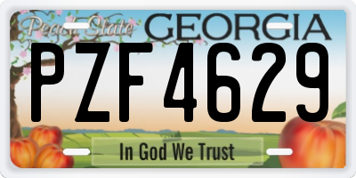 GA license plate PZF4629