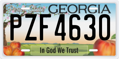 GA license plate PZF4630