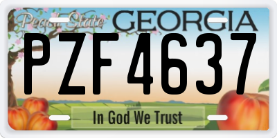 GA license plate PZF4637