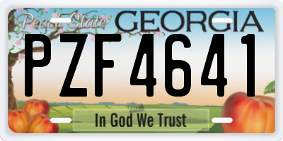 GA license plate PZF4641
