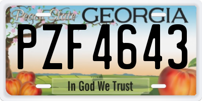 GA license plate PZF4643