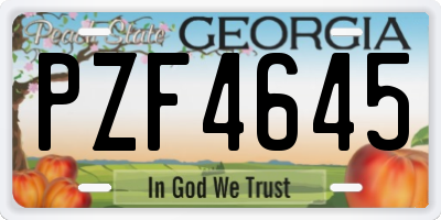 GA license plate PZF4645