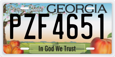 GA license plate PZF4651