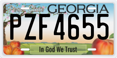 GA license plate PZF4655