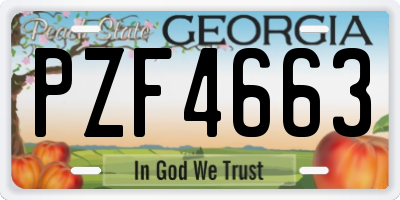 GA license plate PZF4663