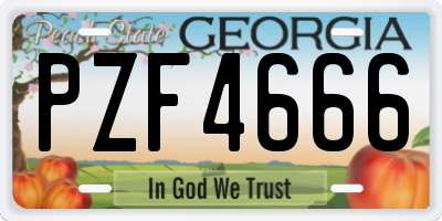 GA license plate PZF4666