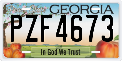 GA license plate PZF4673