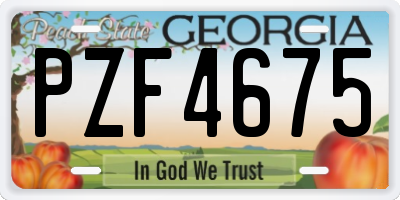 GA license plate PZF4675