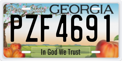 GA license plate PZF4691