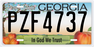 GA license plate PZF4737