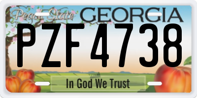 GA license plate PZF4738