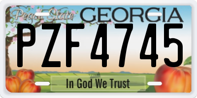 GA license plate PZF4745