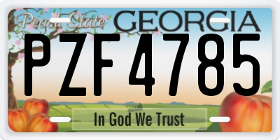 GA license plate PZF4785